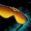 Gradient Glasses (Up).png