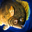 Halibut.png