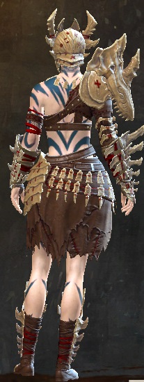 File:Woad armor (heavy) norn female back.jpg