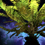 Island Fern (Large).png