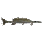 Fish 7.png