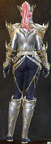 File:Suffused Obsidian armor (light) human female back.jpg