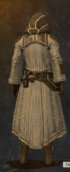 File:Traveler's Outfit sylvari male back.jpg