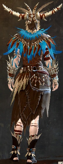 File:Woad armor (light) norn female back.jpg