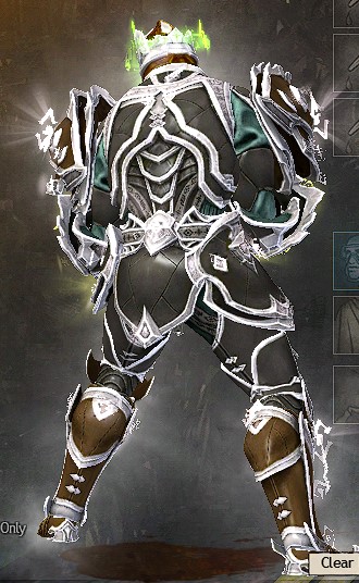 File:Suffused Obsidian armor (heavy) human male back in combat.jpg