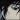 User Gret Box.png