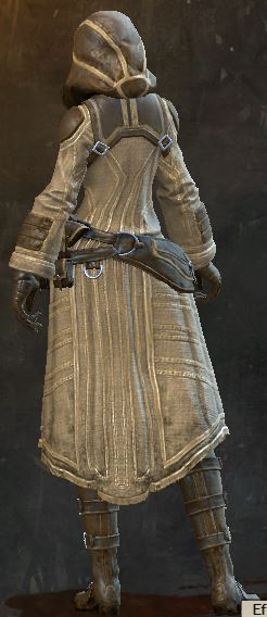 File:Traveler's Outfit sylvari female back.jpg