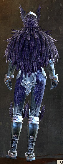 File:Raven armor norn female back.jpg