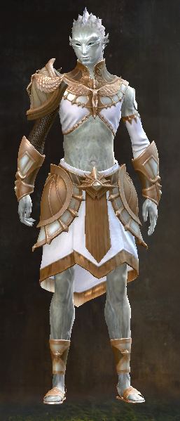 File:Sanctified armor sylvari male front.jpg