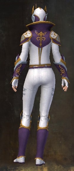 File:Alliance Field Operative armor norn female back.jpg