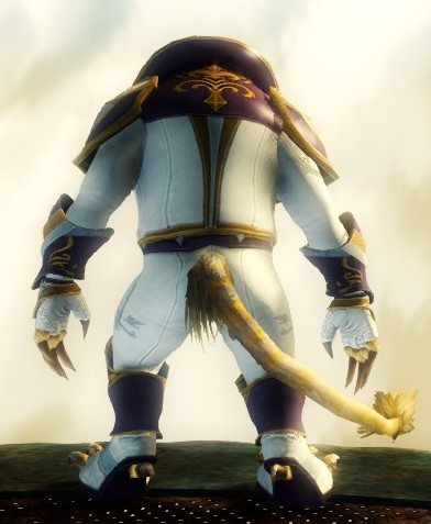 File:Alliance Field Operative armor charr male back.jpg