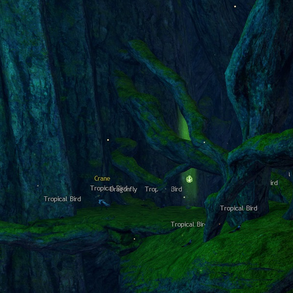 File:What Did the Shrine Guardians Say Location 22.jpg