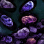 Jungle Grass Seed.png