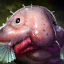 Blobfish.png