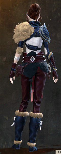 File:Rift Hunter armor human female back.jpg