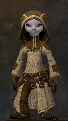 File:Traveler's Outfit asura male front.jpg