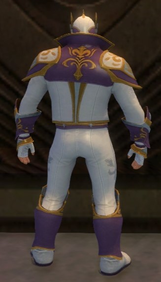 File:Alliance Field Operative armor norn male back.jpg