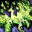 File:Green Fireworks (Dragon's Fortune Fireworks).png