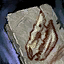 Lesson- Extinct Creatures.png