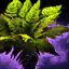 Tropical Shrub.png