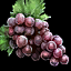 Grape.png