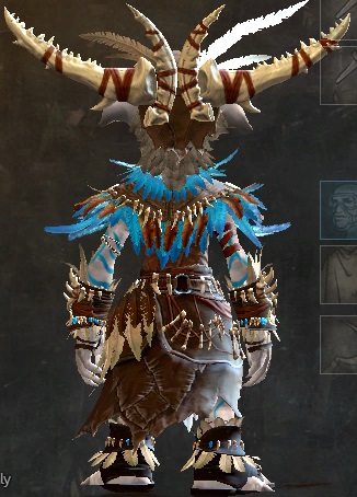 File:Woad armor (light) asura female back.jpg