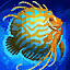 Bearded Sunfish.png