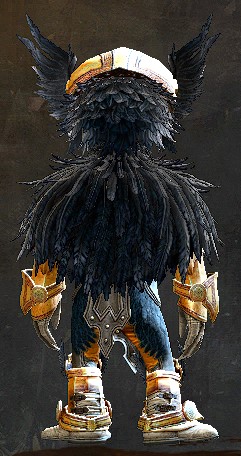 File:Raven armor asura male back.jpg