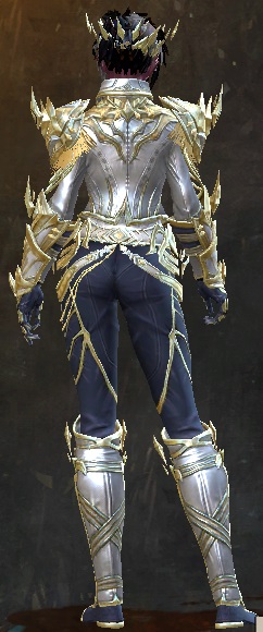File:Obsidian armor (light) sylvari female back.jpg