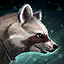 Ring-Tailed Jackal