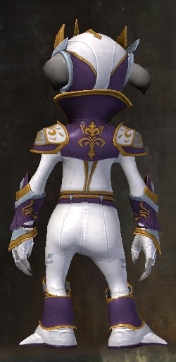 File:Alliance Field Operative armor asura female back.jpg