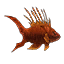 Fish 9.png