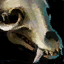 Large Skull.png