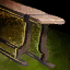 Guild Bench.png