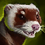 Mischievous Ferret Warclaw