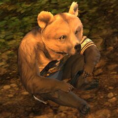 Lowland Kodan Cub heavy 1 (sitting).jpg