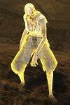 Risen Servant (vision).jpg