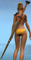 Fortune-Shining Aureate Highlander Greatsword stowed.jpg