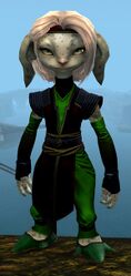 Light Monastery armor asura female front.jpg
