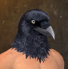 Raven-Blessed Visage.jpg