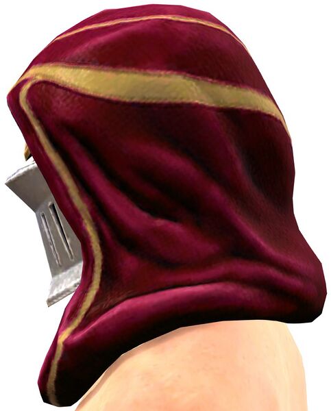 File:Traveling Knight's Hooded Helm side.jpg