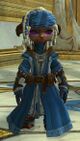 Astral Ward Skirmisher asura male 2.jpg