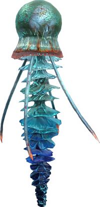 Bestiary Jellyfish.jpg
