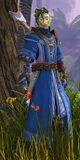 Astral Ward Skirmisher sylvari male 1.jpg