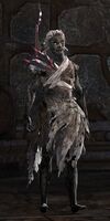 Awakened Sylvari male 1.jpg