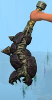 Sclerite Warhorn.jpg