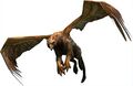 Bestiary Griffon.jpg