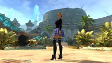 Blissful Skirt and Boots Combo promo.jpg