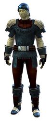 Chain armor sylvari male front.jpg
