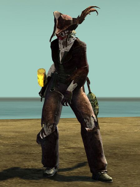 File:Risen Pirate (female 2).jpg